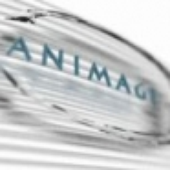 Avatar för animage3d