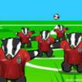 Avatar di ytfcbadger