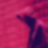 SC - BANNER.jpg