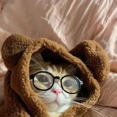 Kobta 的头像