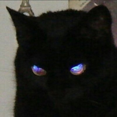 Avatar for Unseenzzi