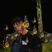 lil a-lik