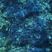1020365-luminescent-creatures_163308.png