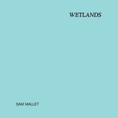Wetlands
