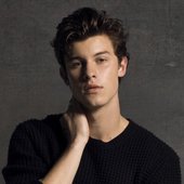 Shawn Mendes