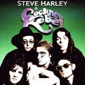 Steve Harley & Cockney Rebel_.JPG