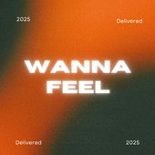 Wanna Feel