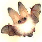 Avatar for nullusnullum