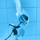 LastFM profile picture for @miserable