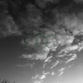 Theoria - Single
