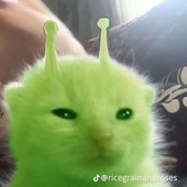 HADE0N 的头像