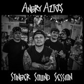 Stinger Sound Session - EP