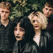 palewaves 1.13.40 PM.jpg