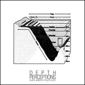 Depth Perceptions