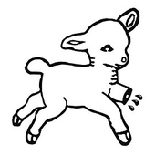 lamb