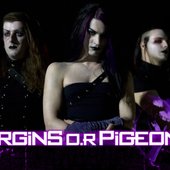 Virgins O.R Pigeons 1