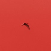 Lettere Animali