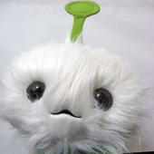 cj7lov 的头像