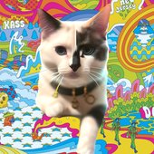 Mizzerable - Single
