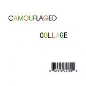Camouflaged Collage