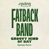 Groovy Kind Of Day (Opolopo Remix)