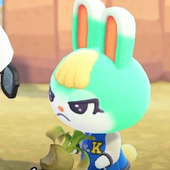 bunnybutkitty 的头像