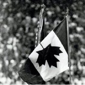 0019274332_10.jpg