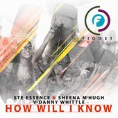 How Will I Know - Single