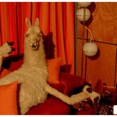 La llama que llama