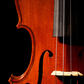 Avatar for Purple_Violin