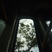 Sustancia_Azul 的头像