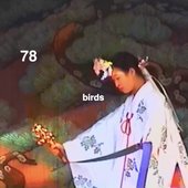 78 Birds