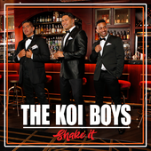 The Koi Boys