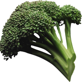 Avatar für brocco_lee