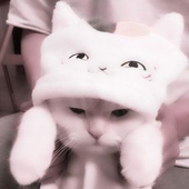 Avatar for naliun