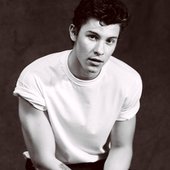 Shawn Mendes