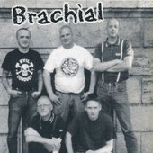 brachial.jpg