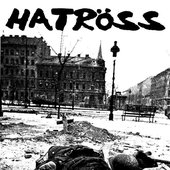 Echoes Of War
