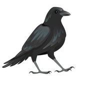 Avatar for corbeau217