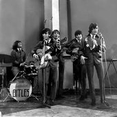The Brazilian Bitles