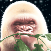 Avatar for furrybeans