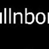 ☠skullnbones☠ logo
