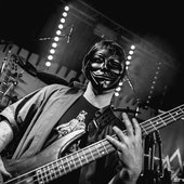 the_harlequin