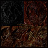 Den Ediacaran Biota