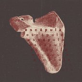 escapula.jpg