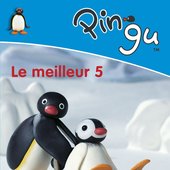 pingu dvd