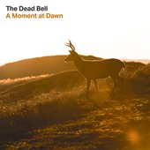 A Moment at Dawn