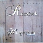 Rezgések