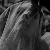 IMG_6659.jpeg
