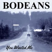 You Wasted Me - Single